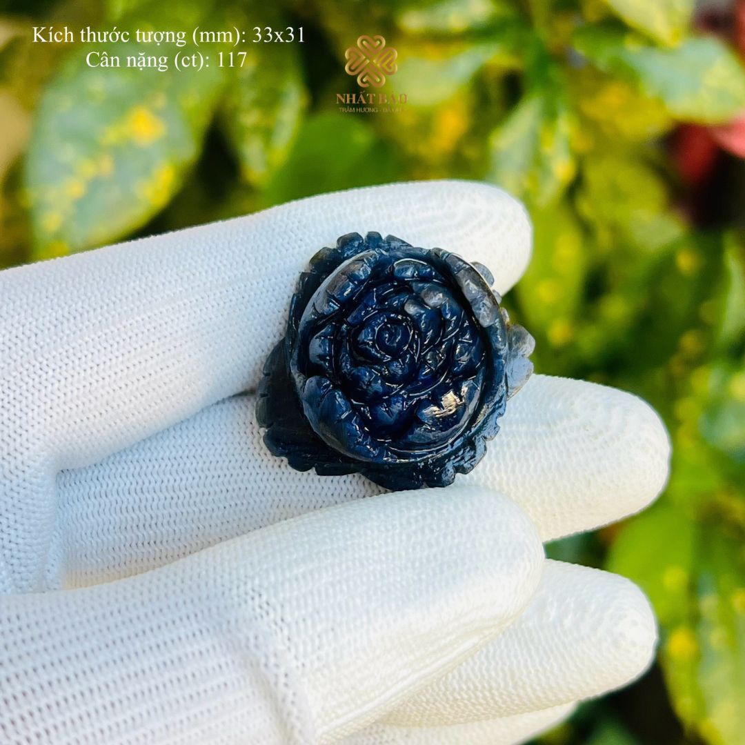 Sapphire Thiên Nhiên Rực Rỡ - Hòa Mình Trong Vẻ Đẹp Hoa Mẫu Đơn #MĐSP41179